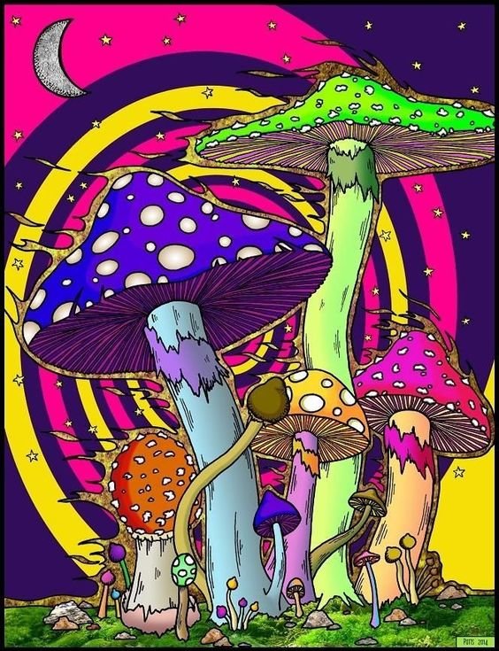 грибы - оригинал