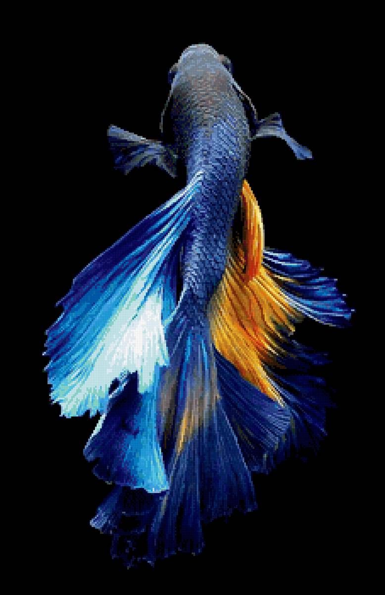 Рыбка2 - предпросмотр