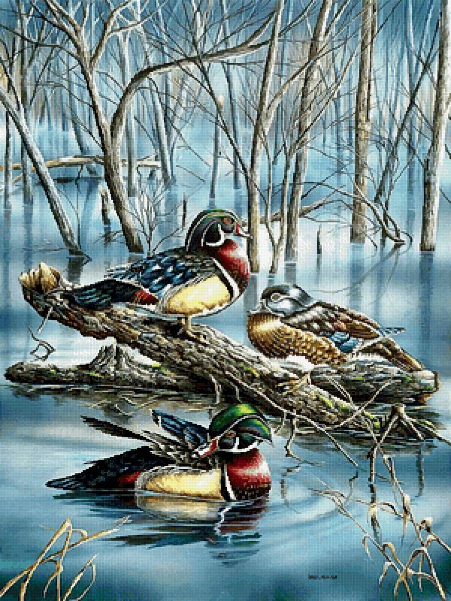 Мандаринки на пруду - предпросмотр