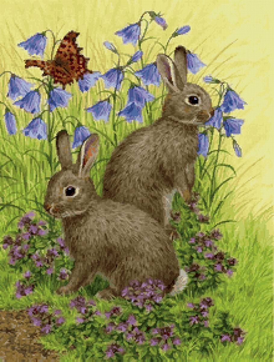 Зайцы - животные, заяц - предпросмотр