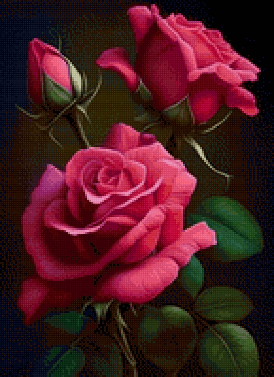 Розы - предпросмотр