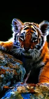 №2671282 - животные - оригинал