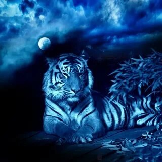 №2671289 - животные - оригинал