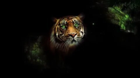 №2671292 - животные - оригинал