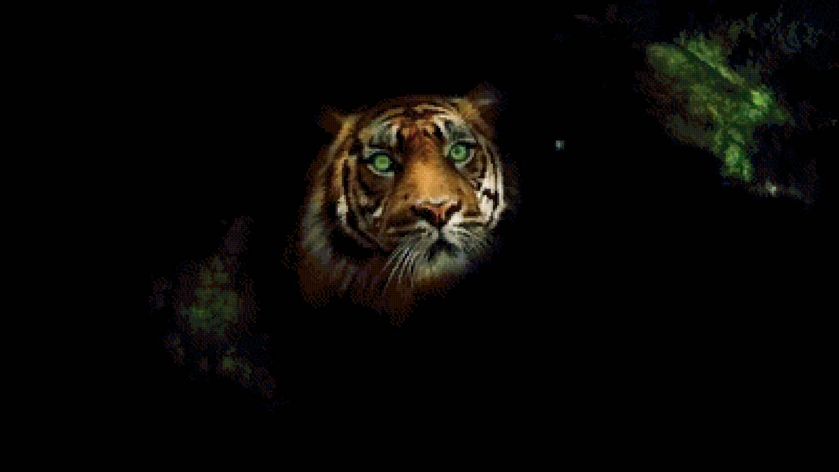 №2671292 - животные - предпросмотр