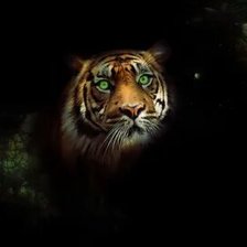 Схема вышивки «№2671292»