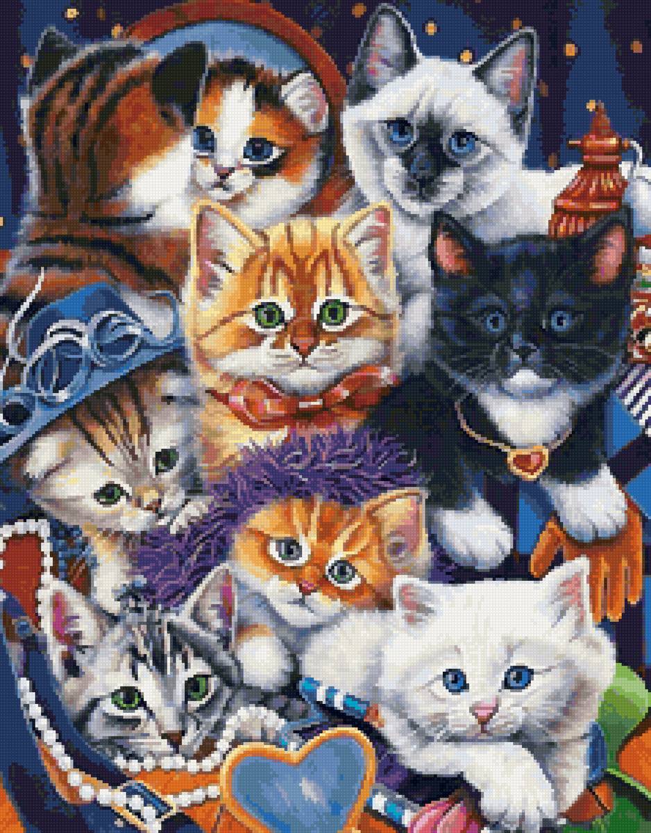 котята - предпросмотр