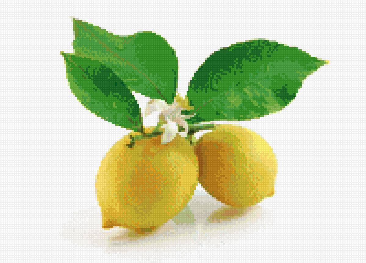 Лимоны - лимоны, натюрморт, лимон, фрукты - предпросмотр