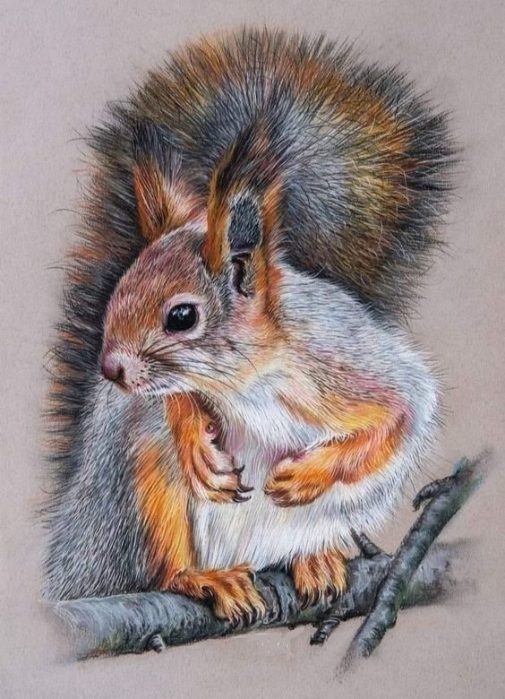 белочка - оригинал