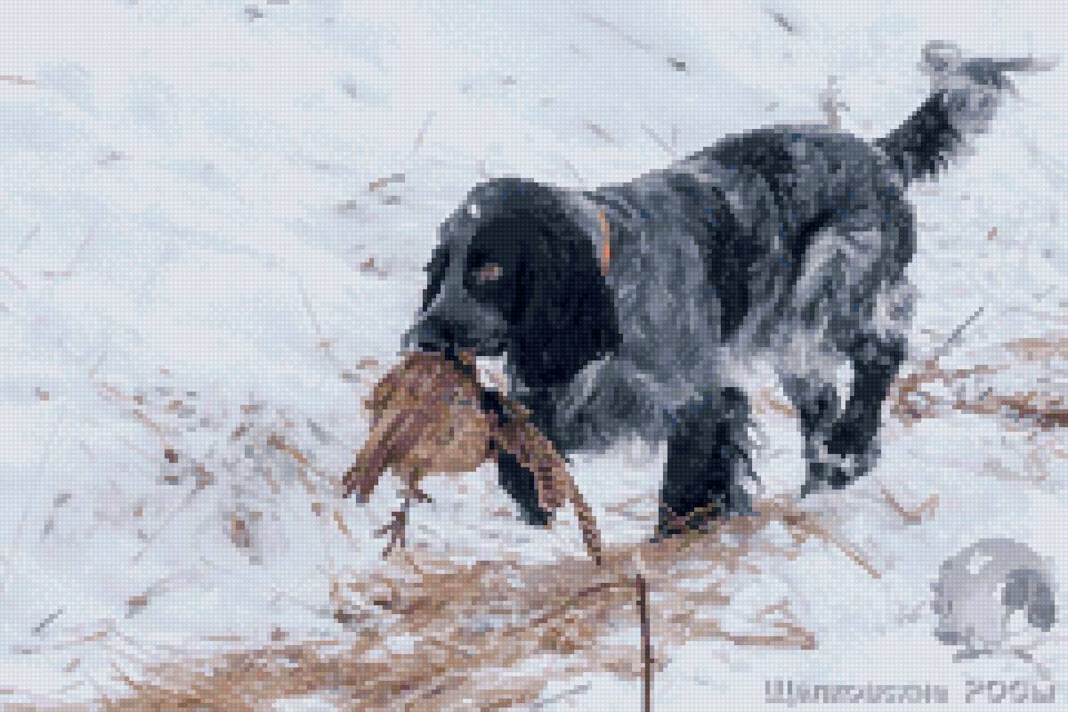 добыча - спаниель, охота, собака - предпросмотр
