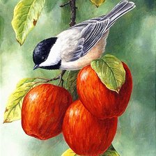 Оригинал схемы вышивки «Птица на яблоках» (№2672274)