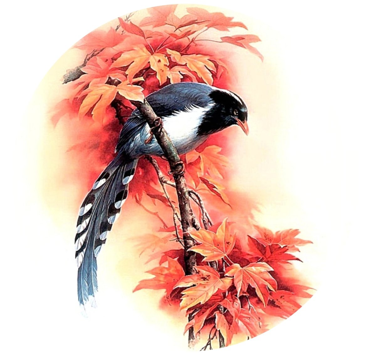 Птица - оригинал