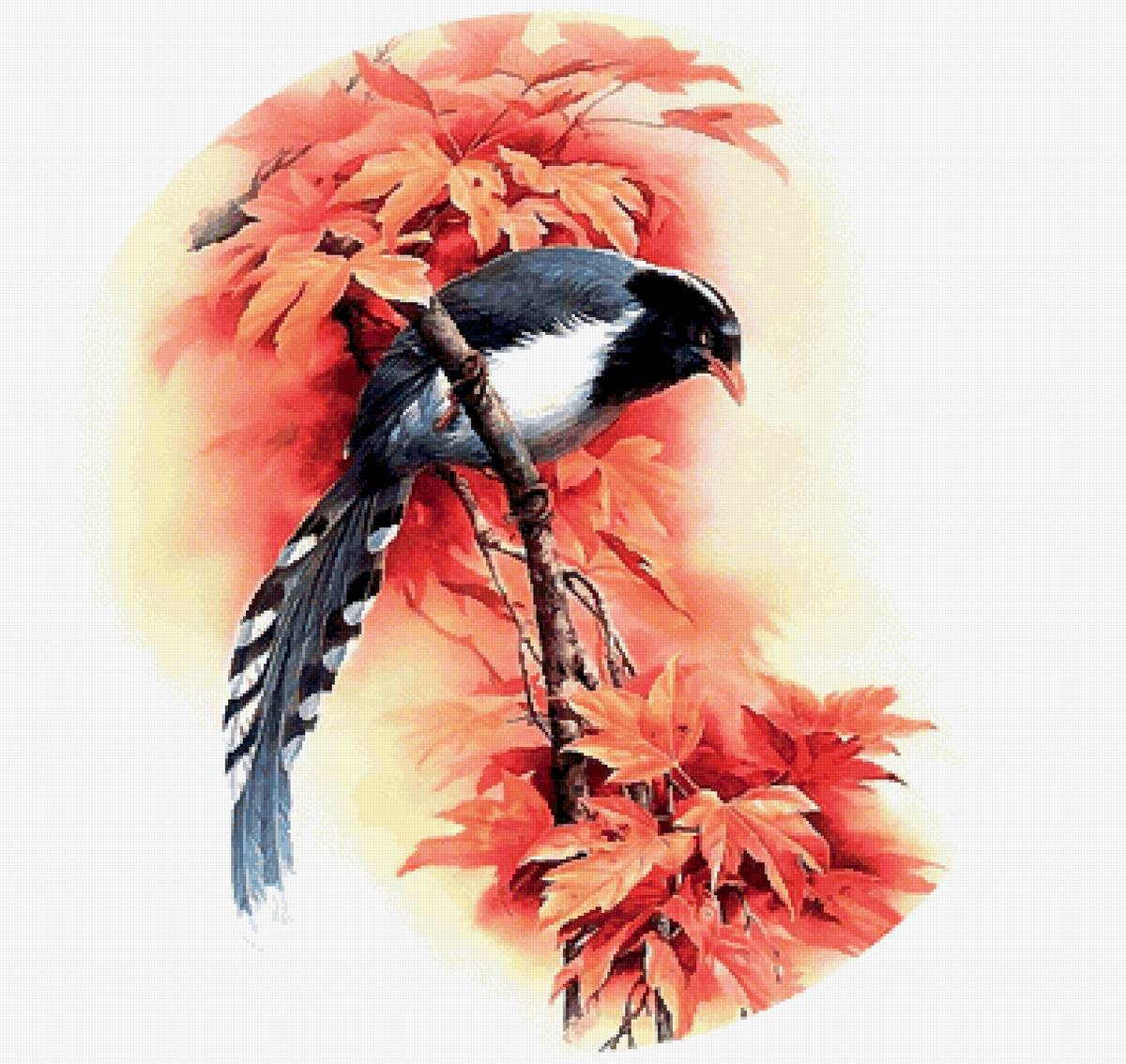 Птица - предпросмотр