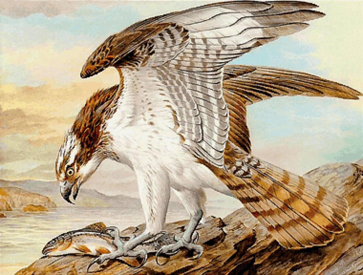 На рыбалке - предпросмотр