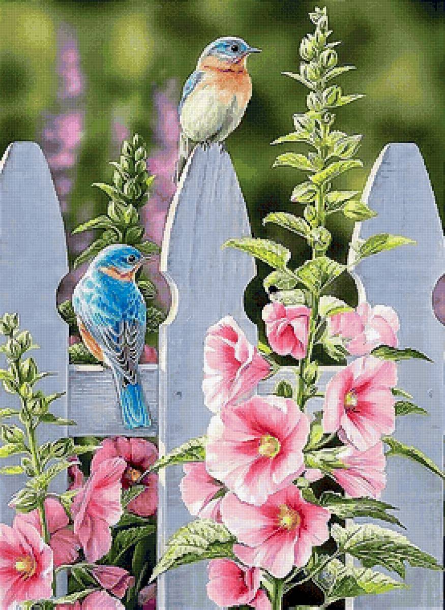 Птицы на заборе - предпросмотр