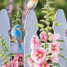 Птицы на заборе