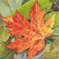 Схема вышивки «подушка кленовый лист»