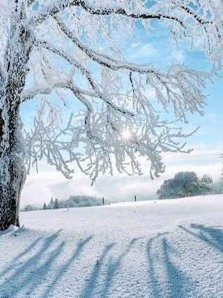 Звонкий иней - зима - оригинал