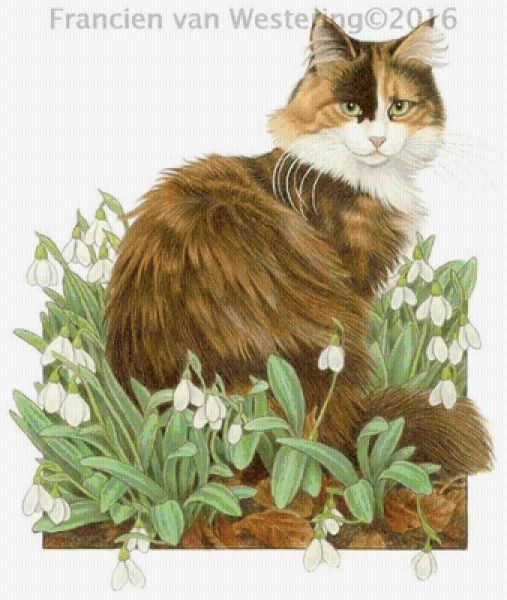 Кошка - кошка - предпросмотр