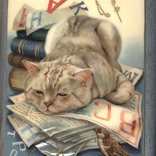 Схема вышивки «Умный кот»