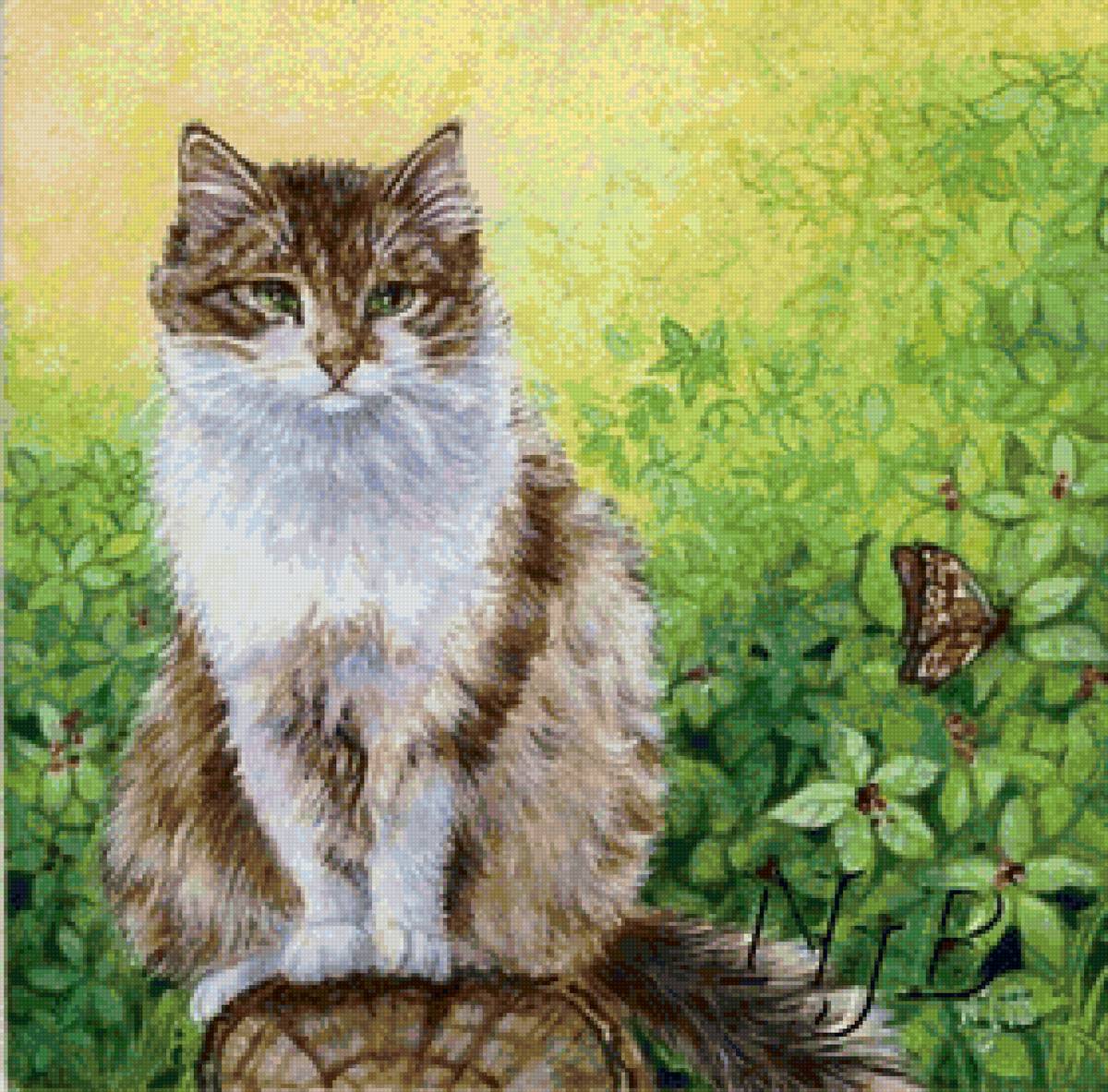 Кот - кот - предпросмотр