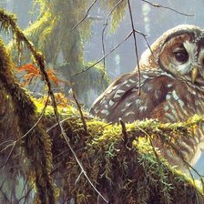 Схема вышивки «Сова»