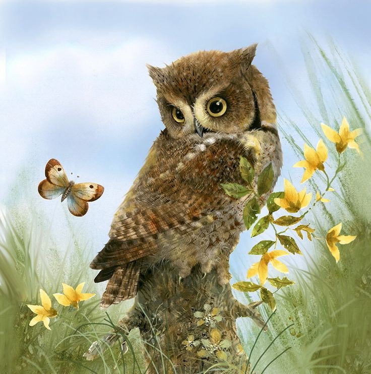 Сова - сова - оригинал