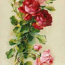 Оригинал схемы вышивки «Розы» (№2673094)