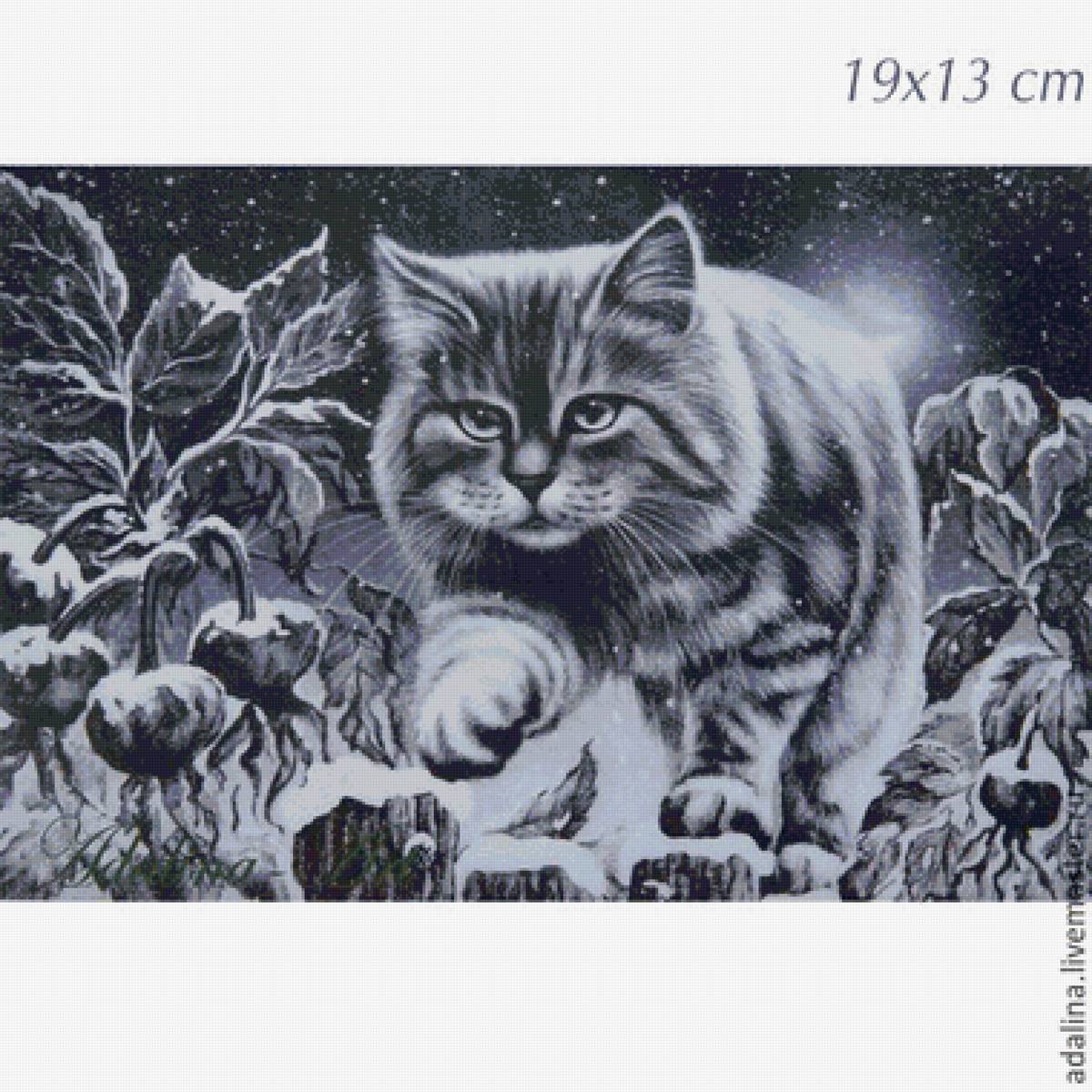 Кот - кот - предпросмотр