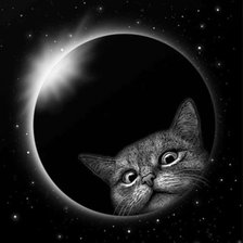 Схема вышивки «Кот»