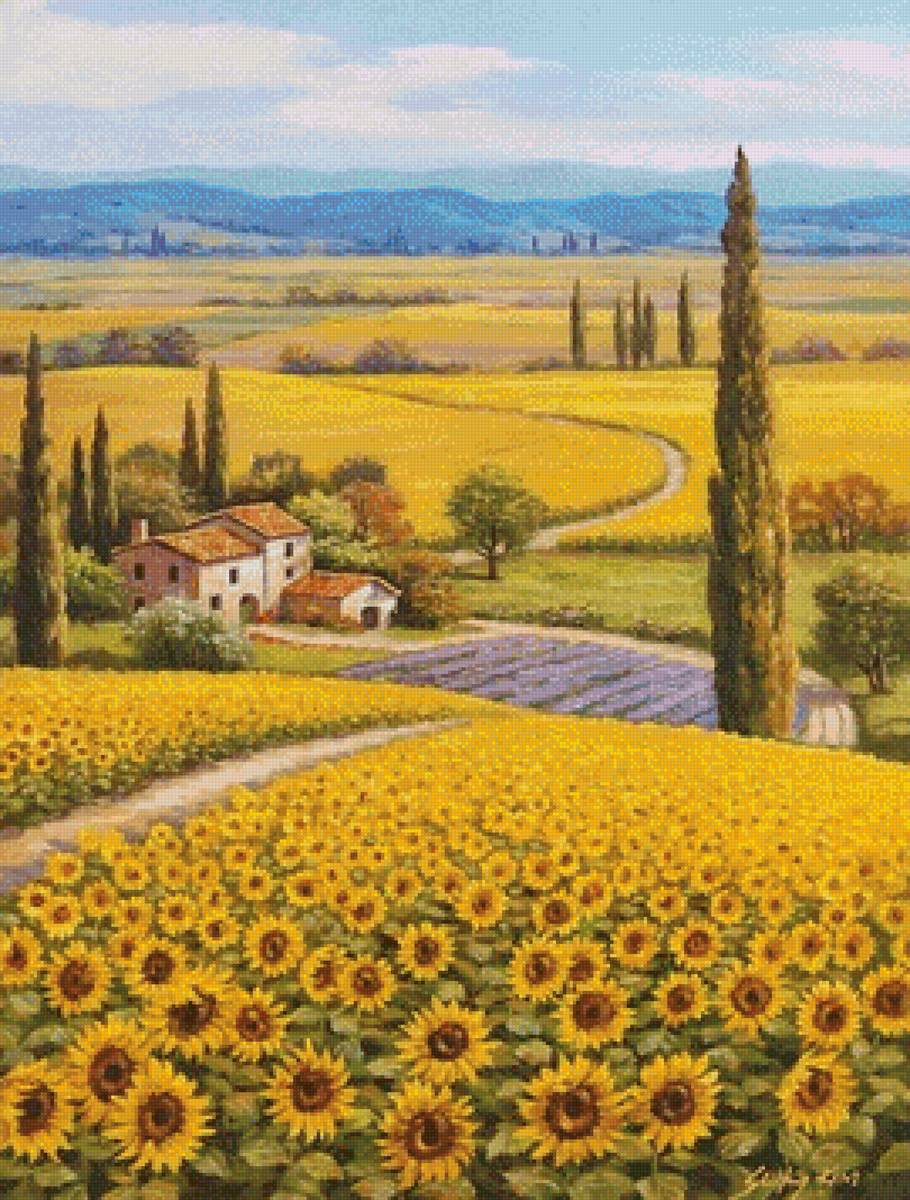 Подсолнухи - италия, подсолнухи - предпросмотр