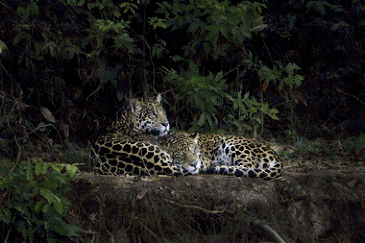 №2673429 - предпросмотр