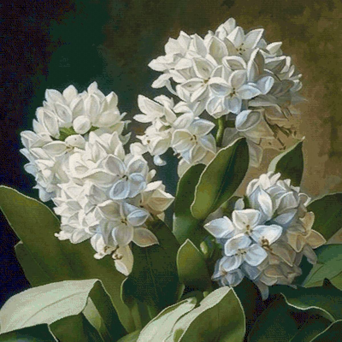 №2673727 - предпросмотр