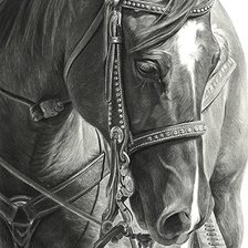 Схема вышивки «Лошадь»