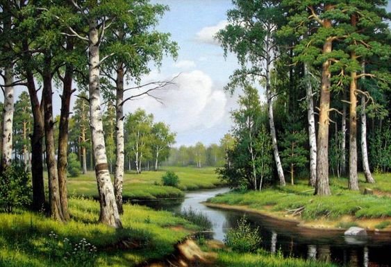 У берез и сосен - лето, река, деревья, лес, пейзаж - оригинал