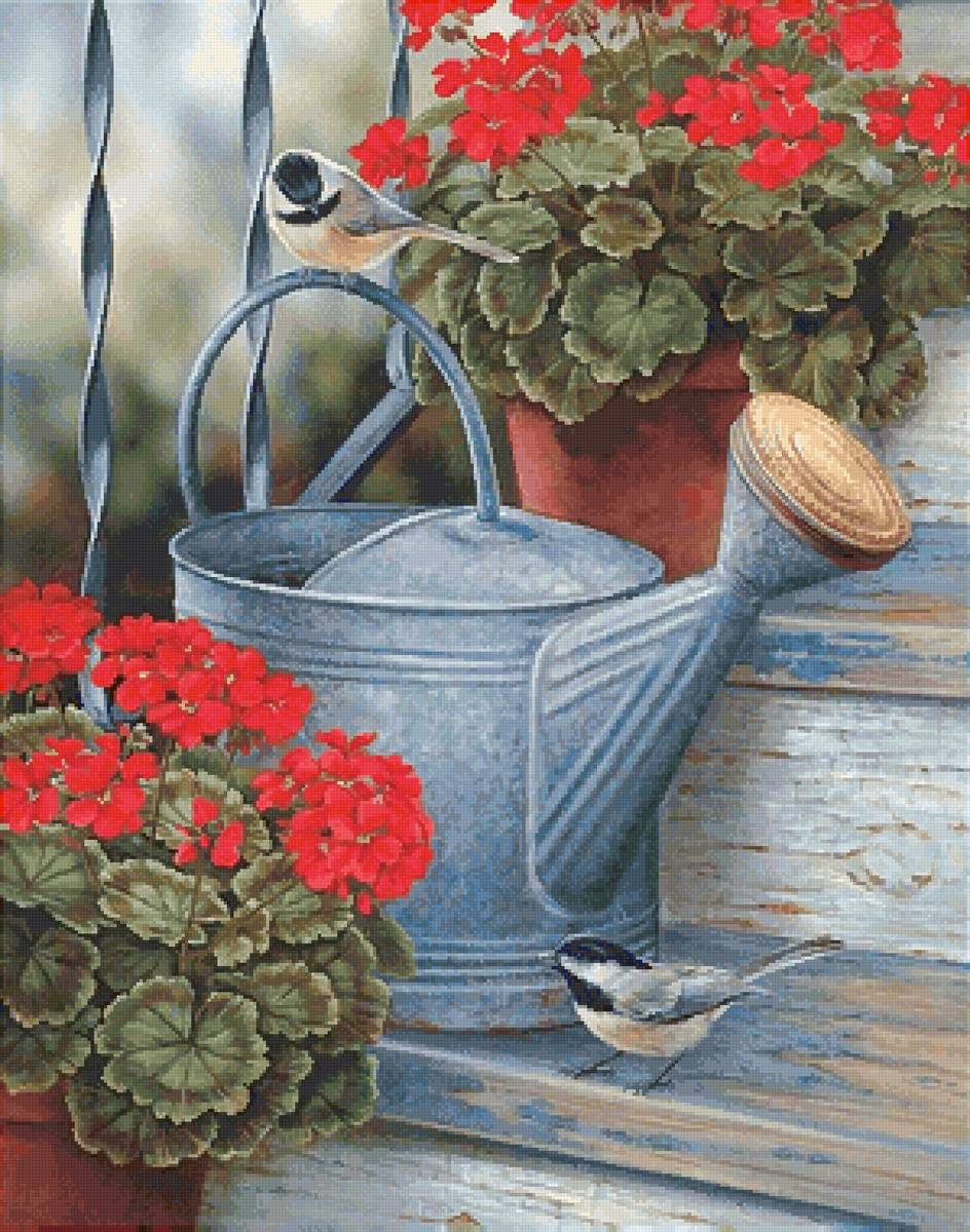 Герань на крыльце - предпросмотр