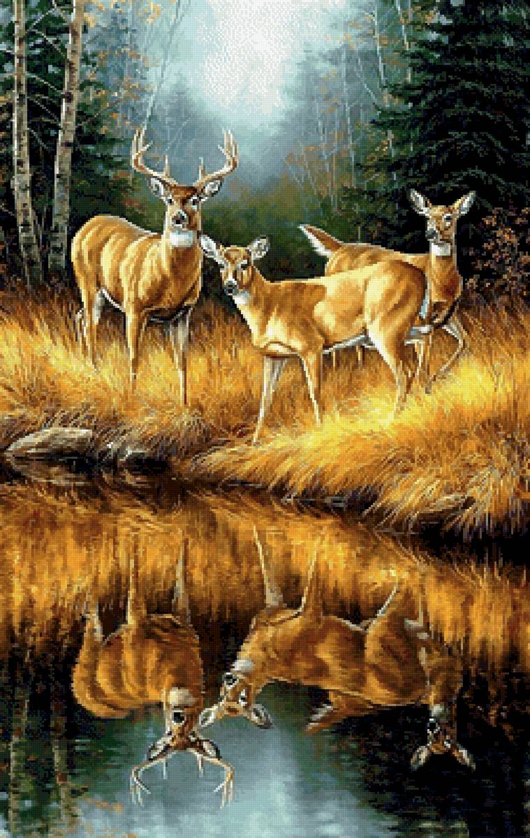 На водопое - предпросмотр