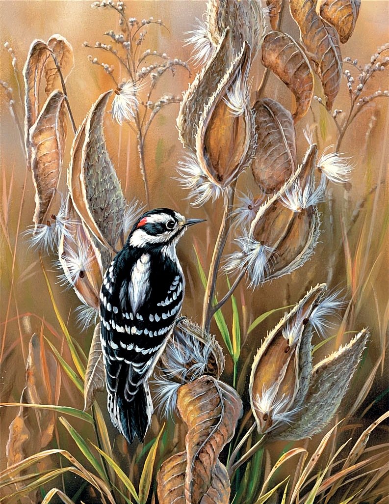 Птица - оригинал