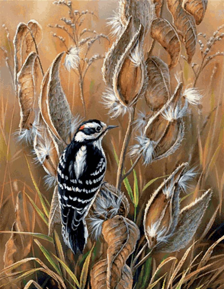 Птица - предпросмотр