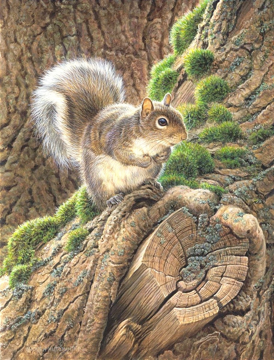 Белочка - оригинал