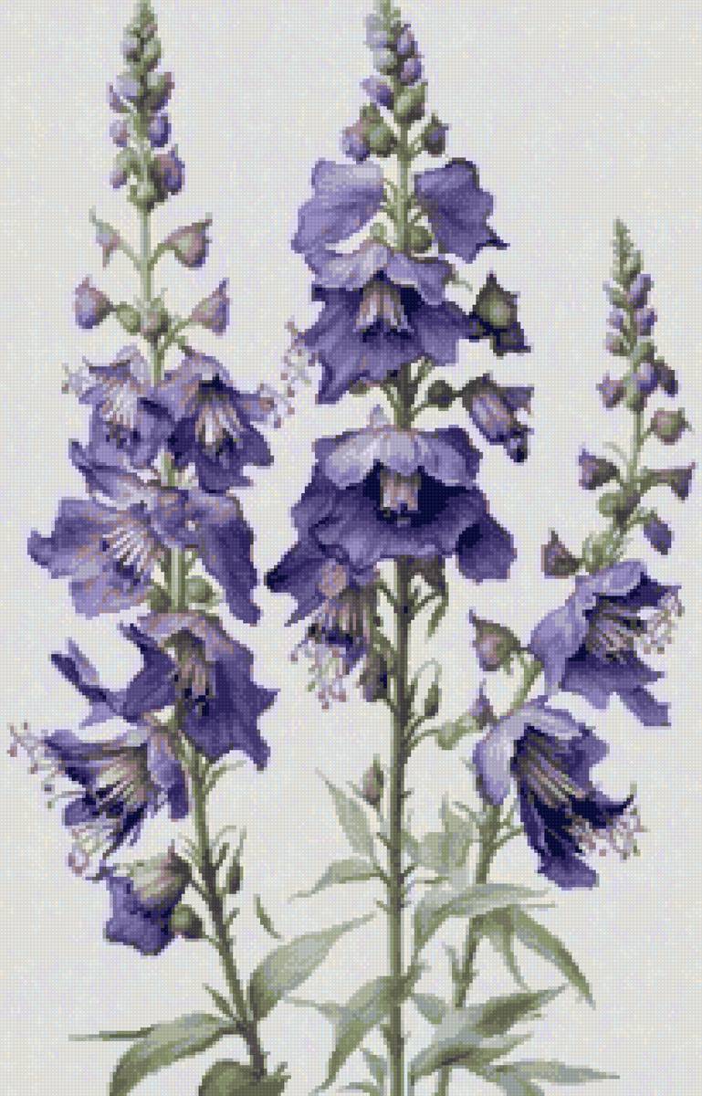 №2674398 - предпросмотр