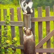 Котики. Дмитрий Левин