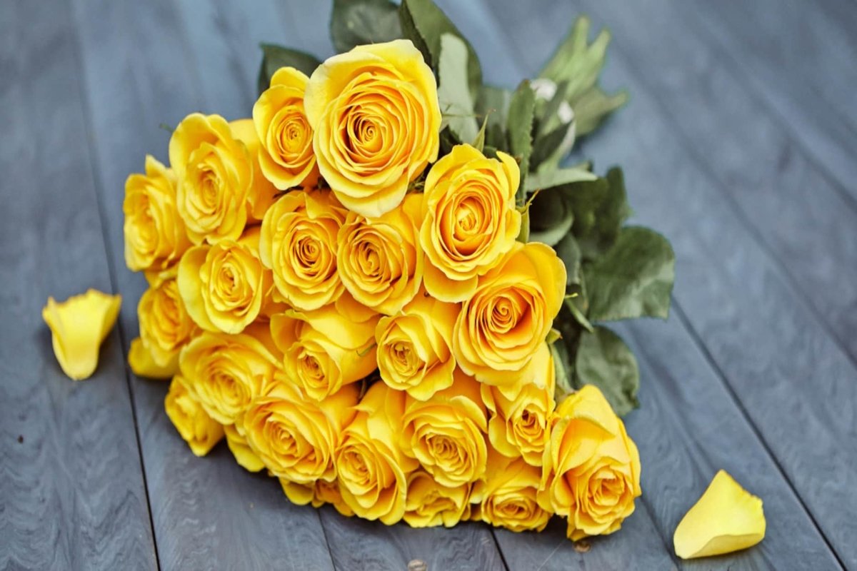 желтые розы - желтые, розы, букет - оригинал