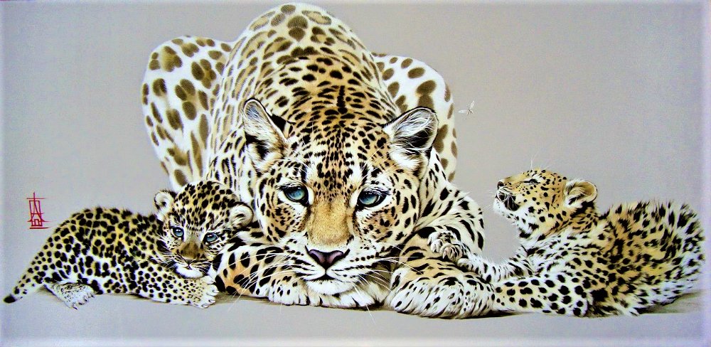 дикие кошки - оригинал