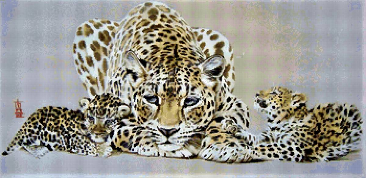 дикие кошки - предпросмотр