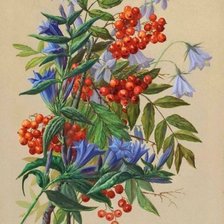 Схема вышивки «осенний букетик»