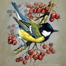 Схема вышивки «подушка синичка»