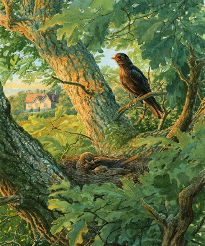 №2675039 - утро, птицы, гнездо - оригинал