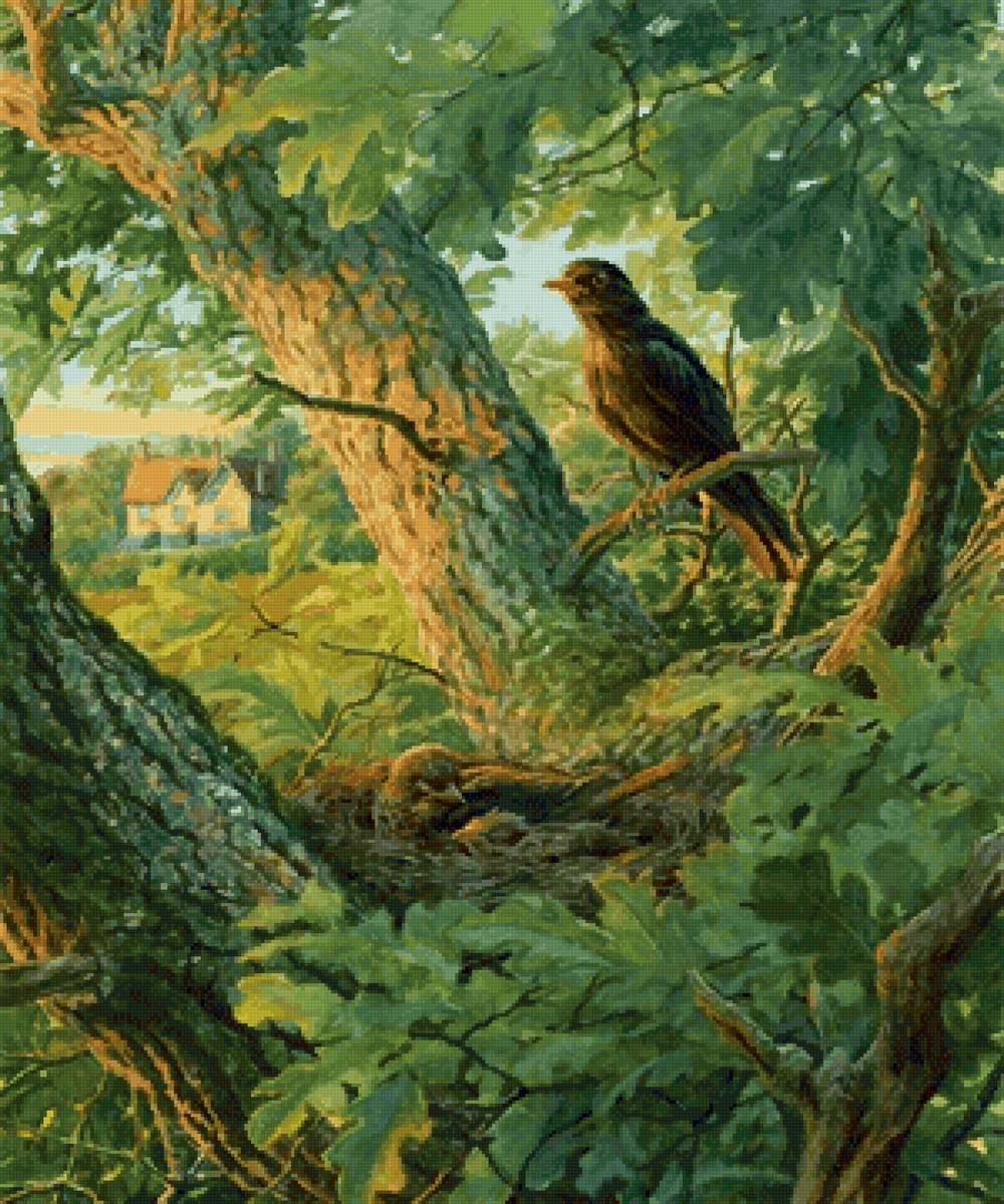 №2675039 - утро, птицы, гнездо - предпросмотр