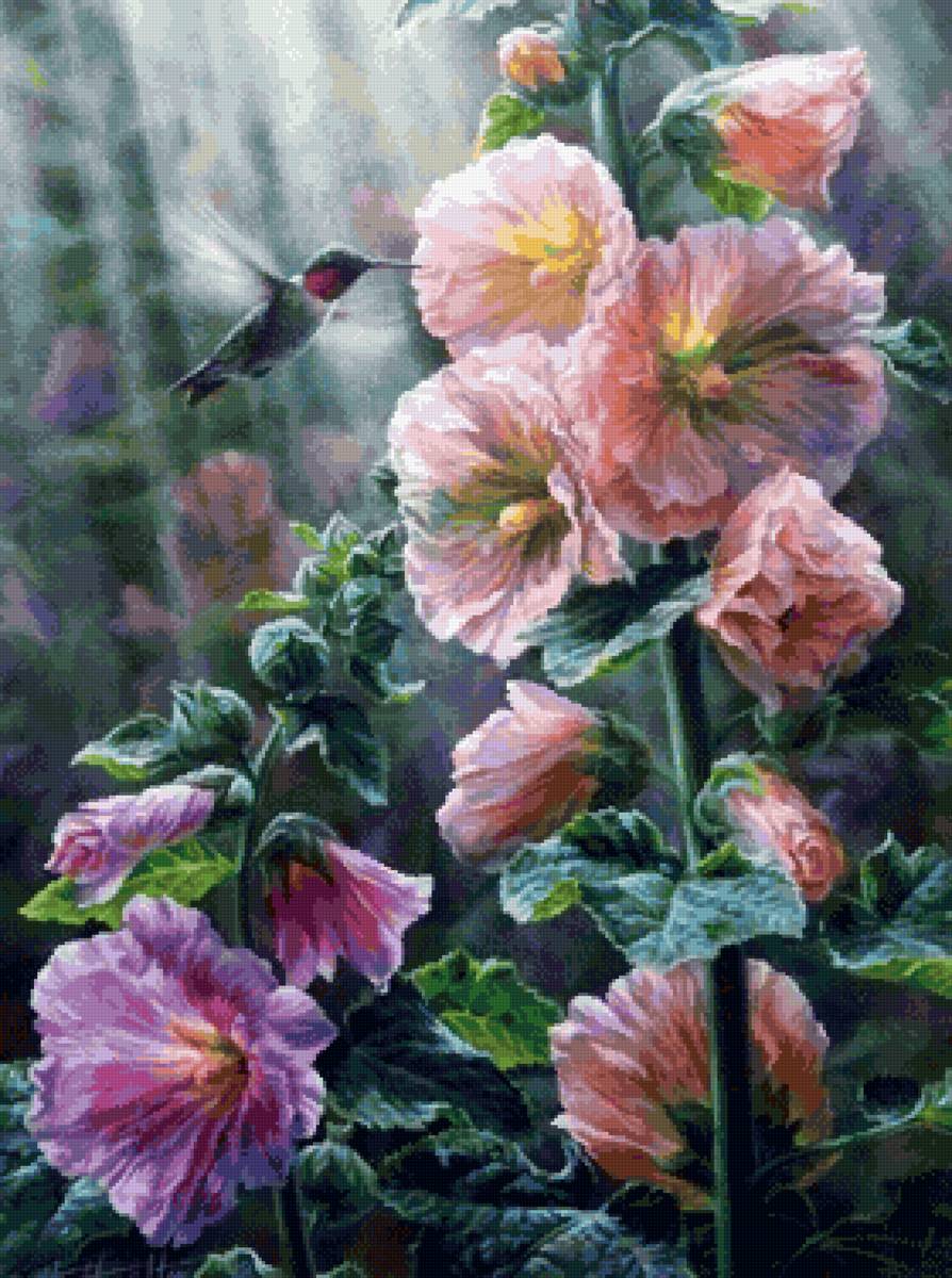 Калибри - предпросмотр